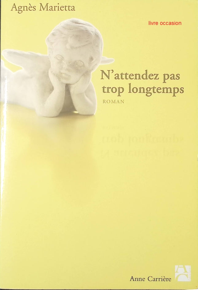 N'attendez pas trop longtemps - Agnès Marietta - livre