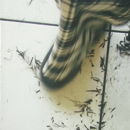 La sieste assassinée - Philippe Delerm - livre