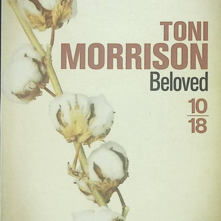 Beloved - Toni Morrison - livre