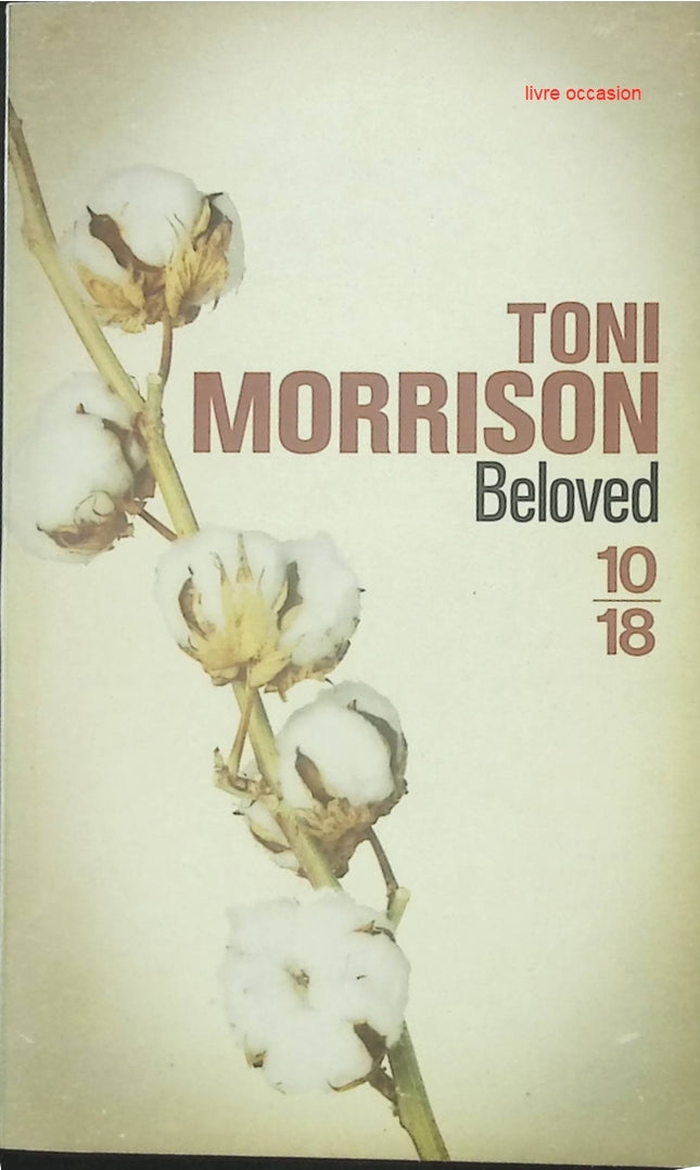 Beloved - Toni Morrison - livre