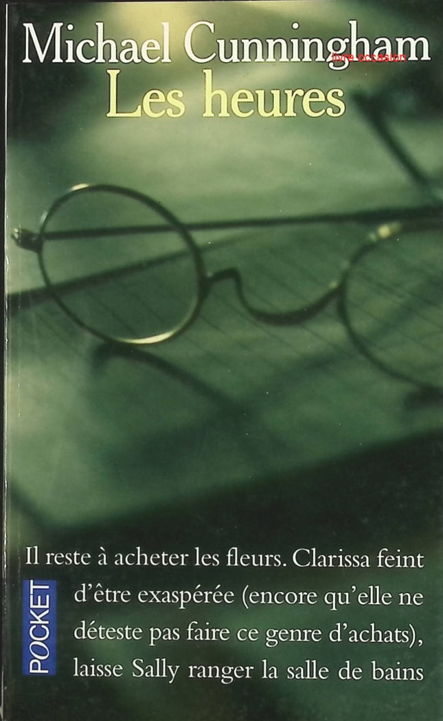 Les Heures – roman de Michael Cunningham – littérature américaine contemporaine – livre d’occasion - livre