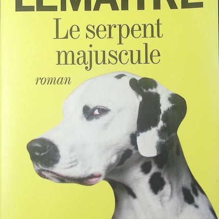 Le Serpent majuscule – Roman de Pierre Lemaitre - livre