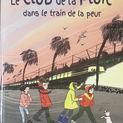 Le Club de la Pluie dans le train de la peur – Malika Ferdjoukh – Roman jeunesse mystère aventure – Enquête pour enfants - livre