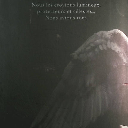 La Malédiction des anges - Danielle Trussoni - livre