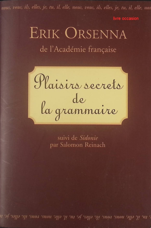 Plaisirs secrets de la grammaire - Erik Orsenna - Livre
