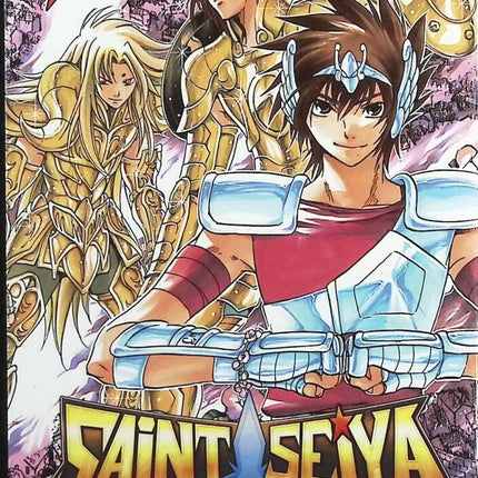 Saint Seiya - Les Chevaliers du Zodiaque - The Lost Canvas - La Légende d'Hadès - tome 02 - Masami Kurumada, Shiori Teshirogi - livre Manga