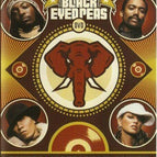 DVD The Black Eyed Peas - Hinter der Brücke nach Elephunk