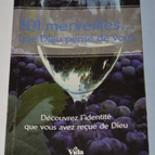 101 Wunder... Was Gott von dir denkt - Buch
