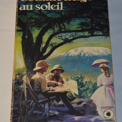 Like Snow in the Sun - William Boyd - book