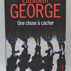 A Thing to Hide - Elizabeth George - Buch