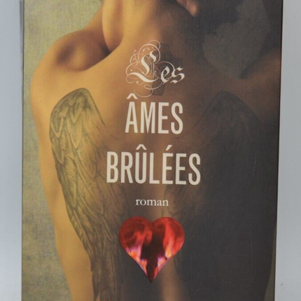 Burnt Souls - Andrew Davidson - book
