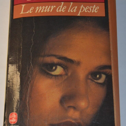 Die Pestmauer - André Brink - Buch