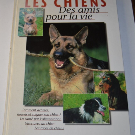 Hunde - Freunde fürs Leben - Buch