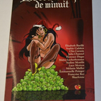 The Twelve Strokes of Midnight - book