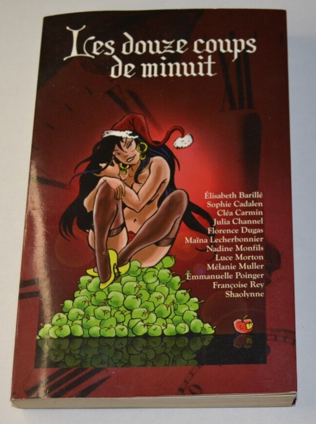 Les douze coups de minuit - livre
