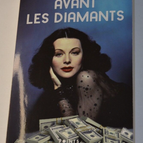 Vor den Diamanten – Dominique Maisons – Buch