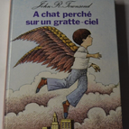 Eine Katze auf einem Wolkenkratzer - JR Townsend - Kinderbuch