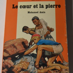 Le coeur et la pierre - Mohamed Amin - livre