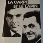Der Karpfen und das Kaninchen - Alix Bouilhaguet - Buch