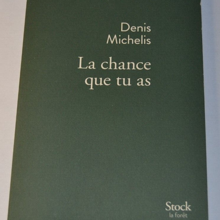 Wie glücklich du bist - Denis Michelis - Buch