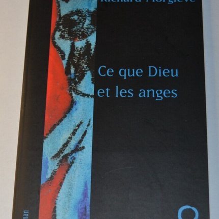 Ce que dieu et les anges - Richard Morgiève - livre