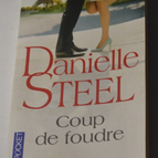 Liebe auf den ersten Blick - Danielle Steel - Buch