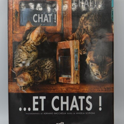 Katze! Katze! ...und Katzen! - Buch