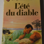 Der Sommer des Teufels - Jacqueline Dana - Buch