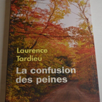 The Confusion of Sorrows - Laurence Tardieu - book