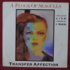 45 U/min Vinyl-Schallplatte – ein Schwarm Möwen überträgt Zuneigung