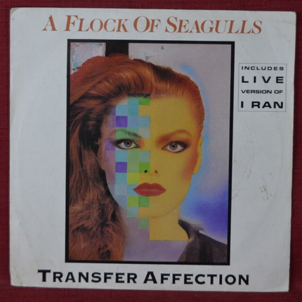 45 U/min Vinyl-Schallplatte – ein Schwarm Möwen überträgt Zuneigung