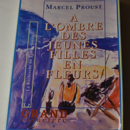 Im Schatten junger Mädchen in Blume 2 - M. Proust - Großdruck - Buch