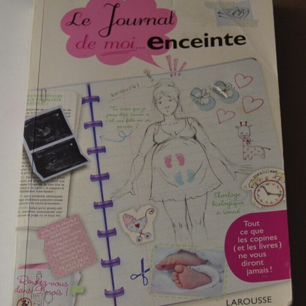 Das Tagebuch meiner ... schwangeren Frau - Muriel Ighmouracène - Buch