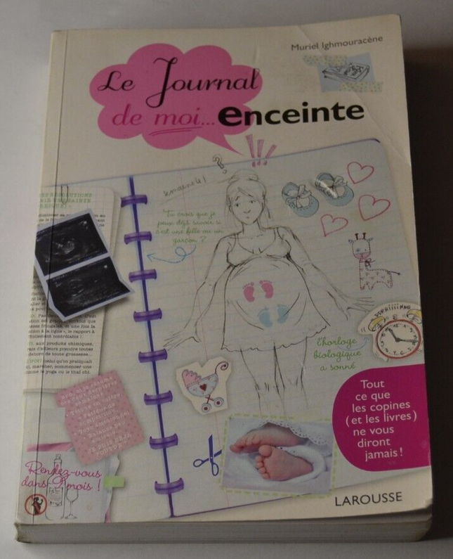 Das Tagebuch meiner ... schwangeren Frau - Muriel Ighmouracène - Buch