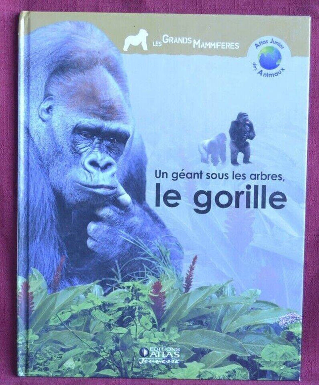 un géant sous les arbres le gorille - livre