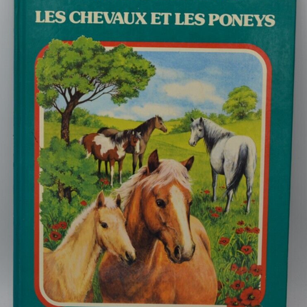 Ich lerne alles über Pferde und Ponys - Buch