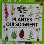 les plantes qui soignent - geo - n°414 - revue - Geo magazine