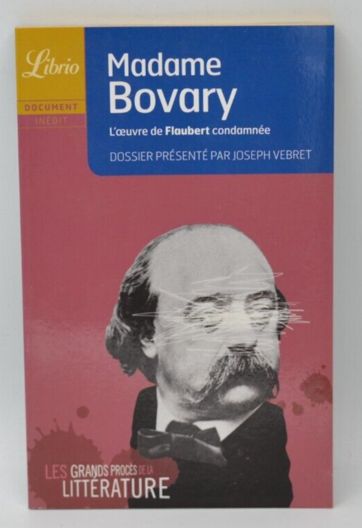 Madame Bovary - Flauberts Werk verurteilt - Joseph Vebret - Buch
