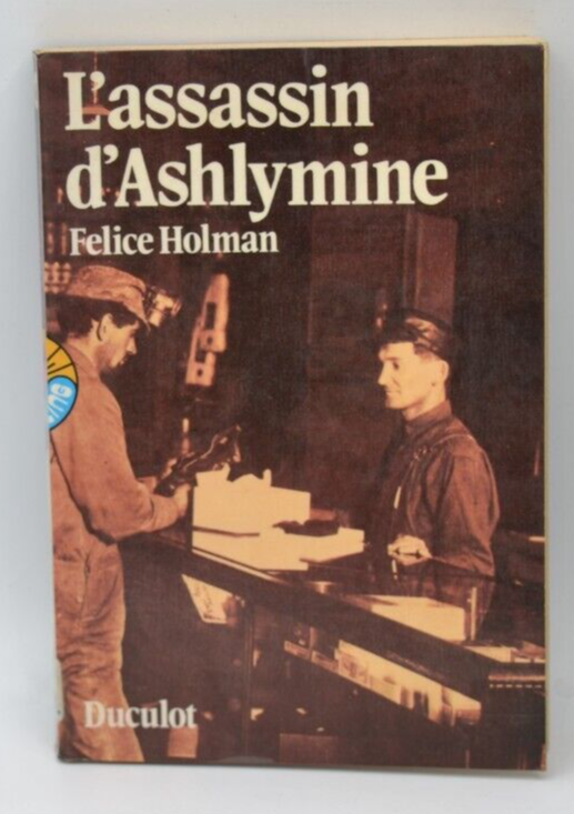 Ashlymines Mörder - Felice Holman - Buch