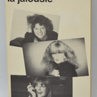 Jealousy - Madeleine Chapsal - book