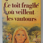 Dieses zerbrechliche Dach, wo Geier zusehen - Claire Vallières - Buch