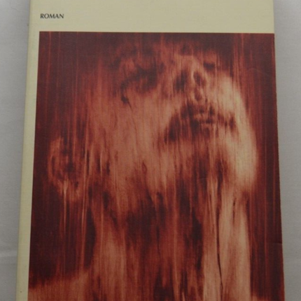 Infrarot - Nancy Huston - Buch
