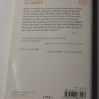 Gaiety - Justine Lévy - Buch