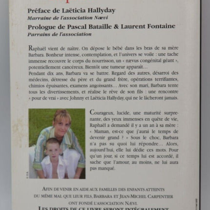 Raphael - Barbara Carpentier - Buch