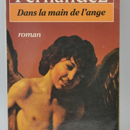 In the Hand of the Angel - Dominique Fernandez - 1984 - book