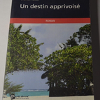 Ein gezähmtes Schicksal - Chantal Rassat - Buch