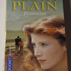 Versprechen - Belva Plain - Buch
