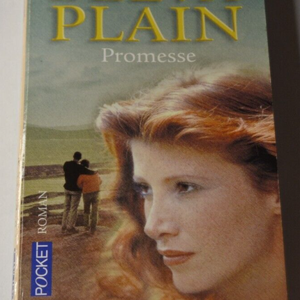 Versprechen - Belva Plain - Buch