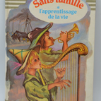 Lernen, ohne Familie zu leben - Hector Malot - 1981 - Buch