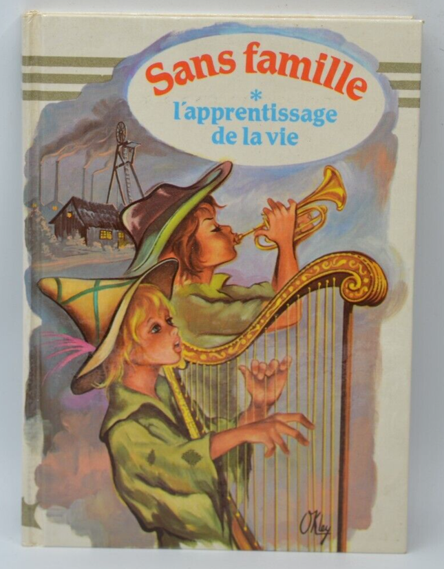 L'apprentissage de la vie Sans Famille - Hector Malot - 1981 - livre